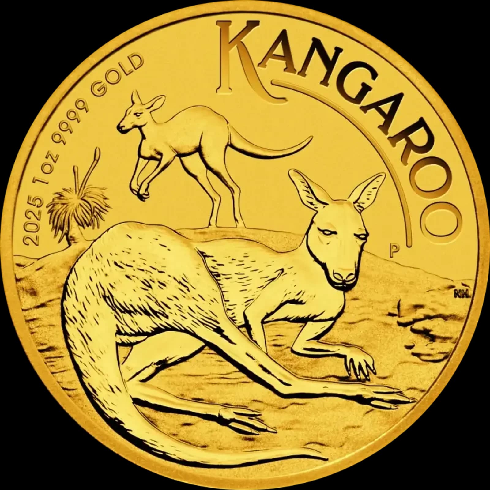الوجه الأمامي لعملة Australian Kangaroo الذهبية 2025 (1 أونصة): نقاء 9999.