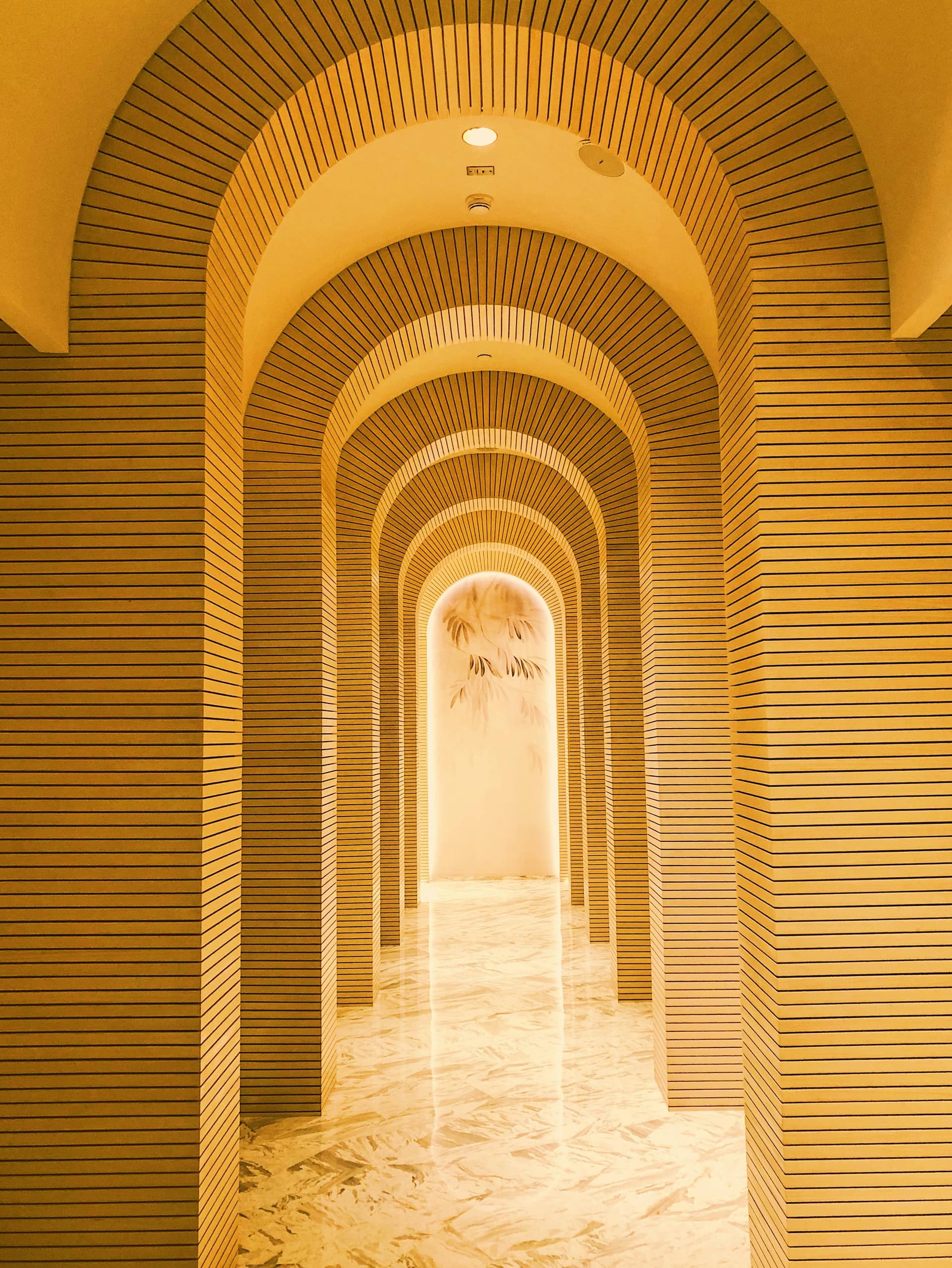 تجربة VIP