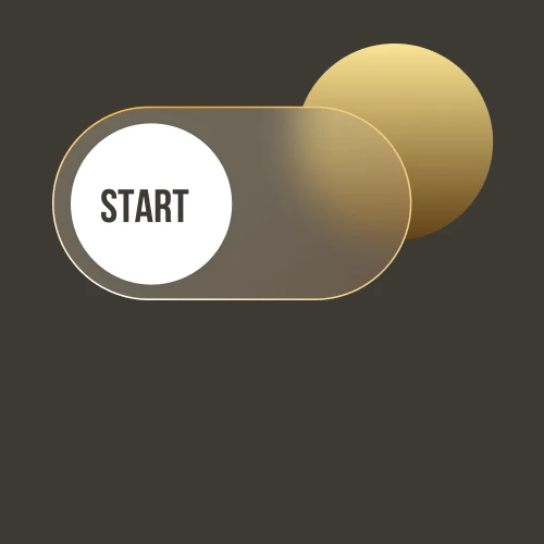 Your First Step into the World of Investment Coins